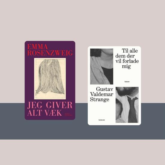 Forsider af bøger, som fik debutantpriserne